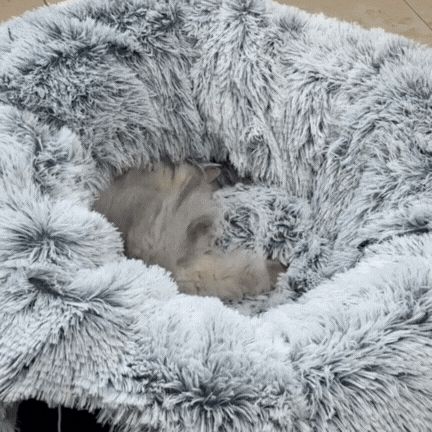 Round Tunnel Cat Beds