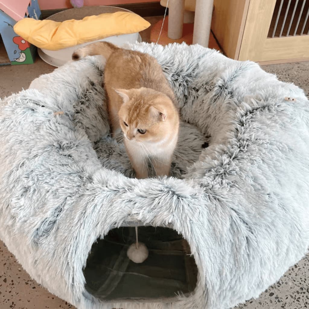 Round Tunnel Cat Beds